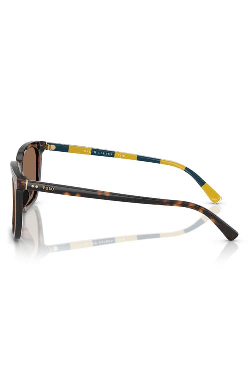 Ralph Lauren Ralph By 55mm Rectangular Sunglasses In Shiny Havana