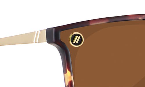 Blenders Eyewear North Park Polarized Round Sunglasses