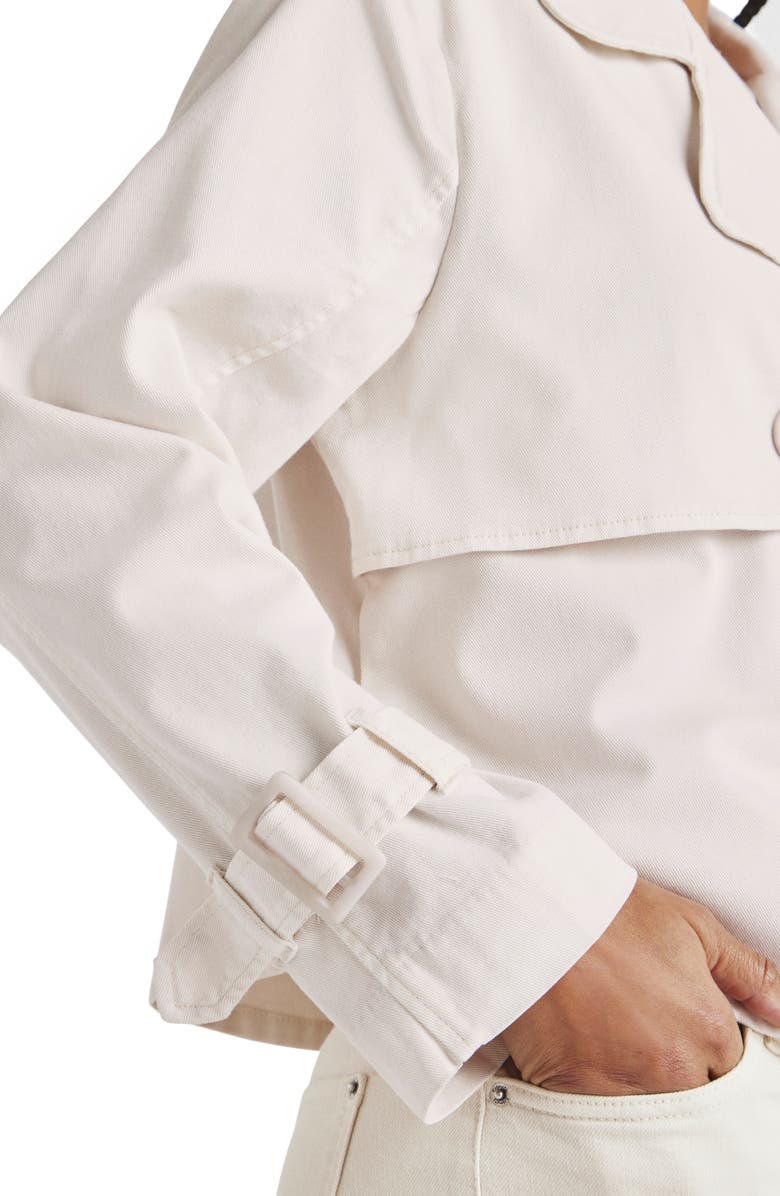 Splendid Portia Double Breasted Jacket, Alternate, color, 