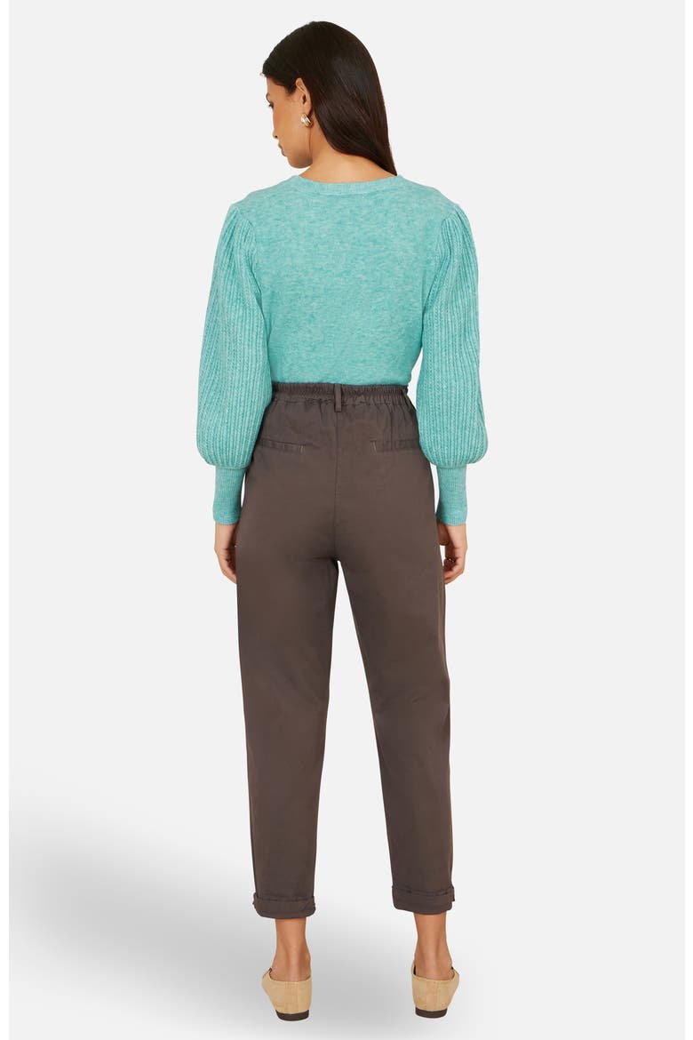 Cotton Canvas Chino Trousers, Alternate, color, Brown