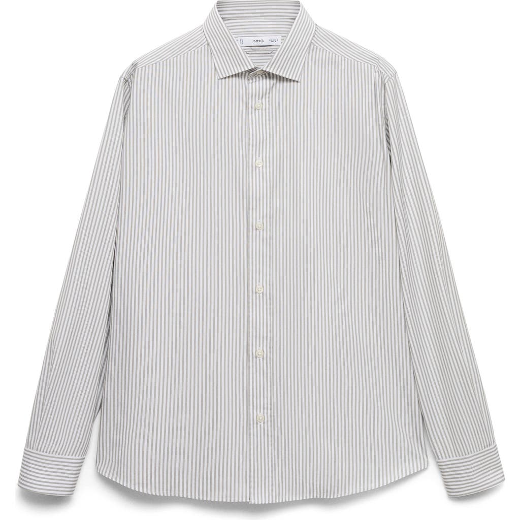 Mango Regular Fit Stripe Cotton Button-up Shirt In Brown
