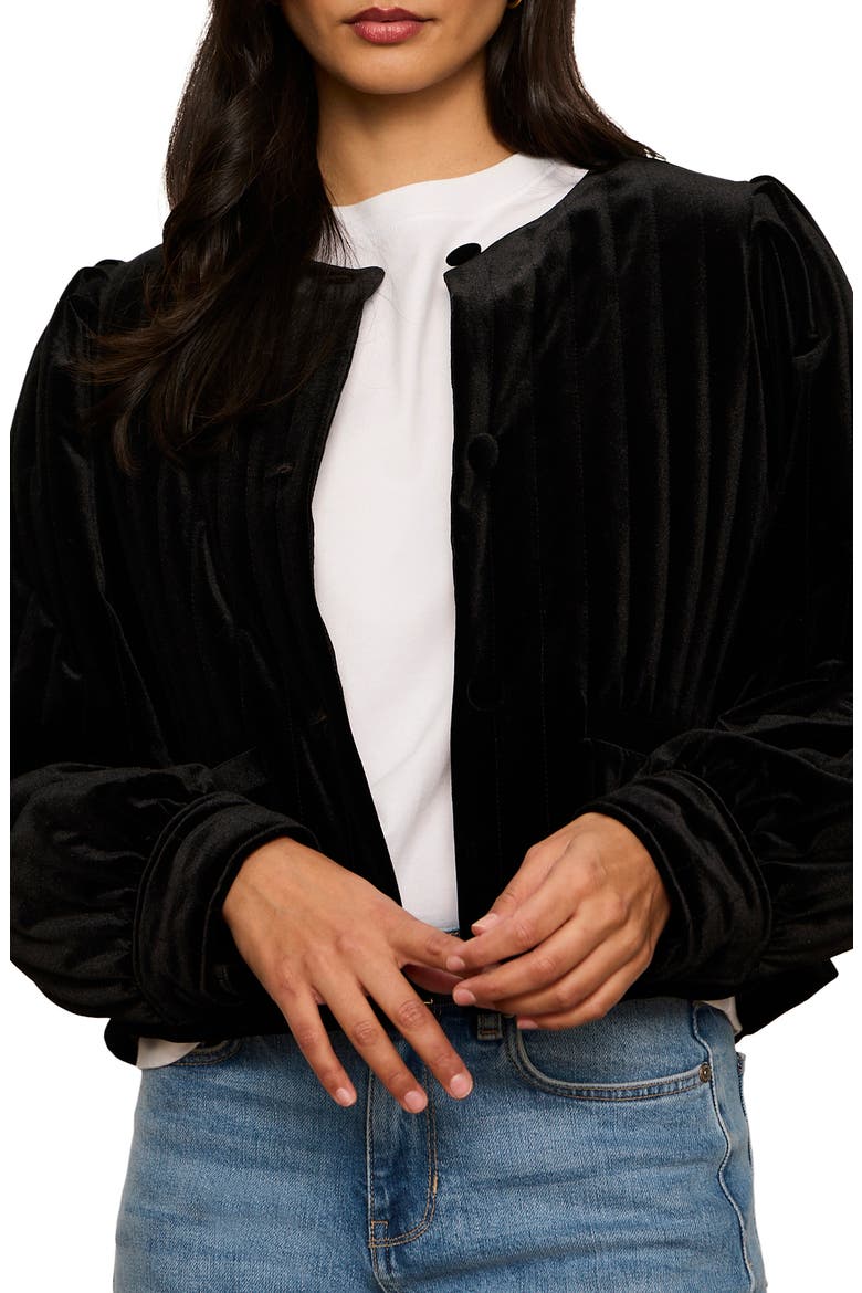 Pepper Velvet Jacket, Alternate, color, BLACK