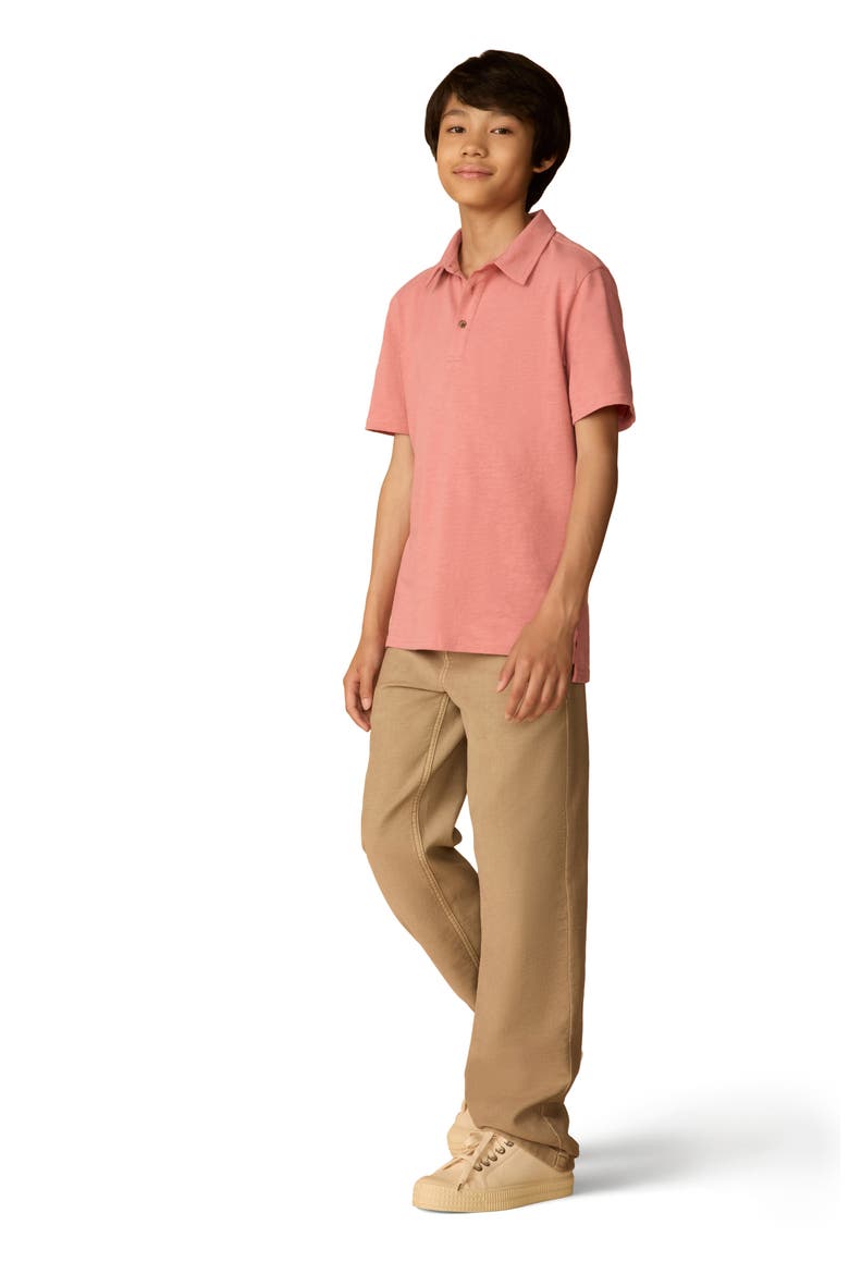 Kids' Sun Washed Organic Cotton Polo, Alternate, color, FADED FLAG