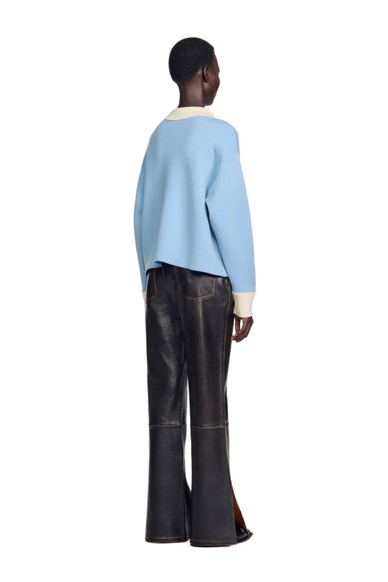 Two-tone wool polo sweater, Alternate, color, Sky blue