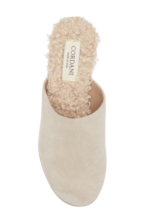 Cordani Jules Faux Fur Lined Platform Mule In Gray