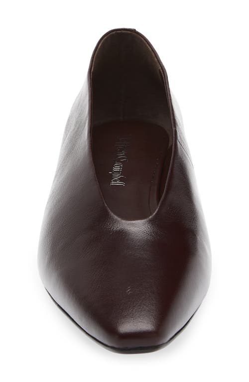 Jeffrey Campbell Hinted Pointed Toe Flat In Black