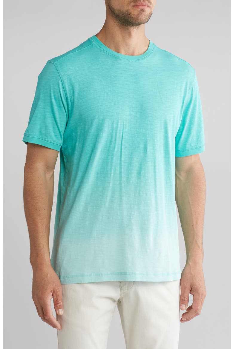 Coco Cloud Cotton T-Shirt, Main, color, KOHALA TEAL