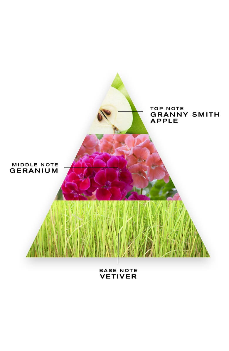 Creed Vetiver Geranium Fragrance, Alternate, color, 