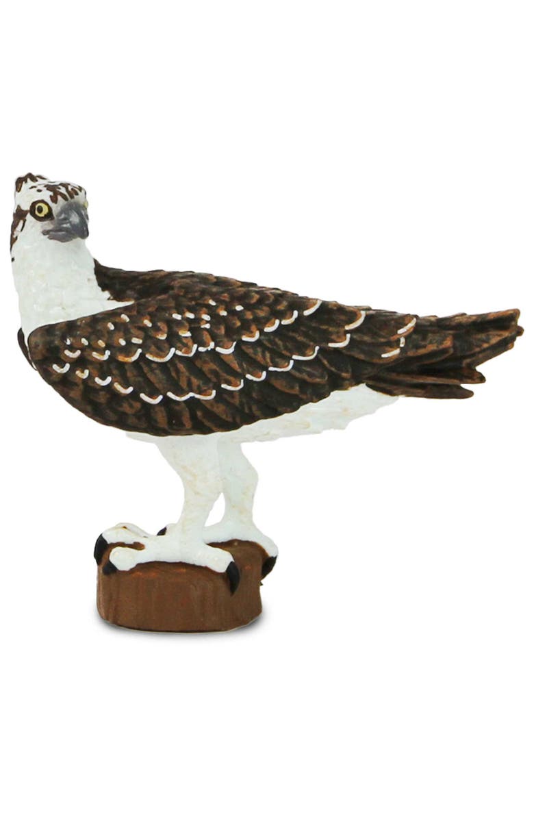 Safari Ltd. Osprey Kids Toy Figure, Main, color, NO COLOR