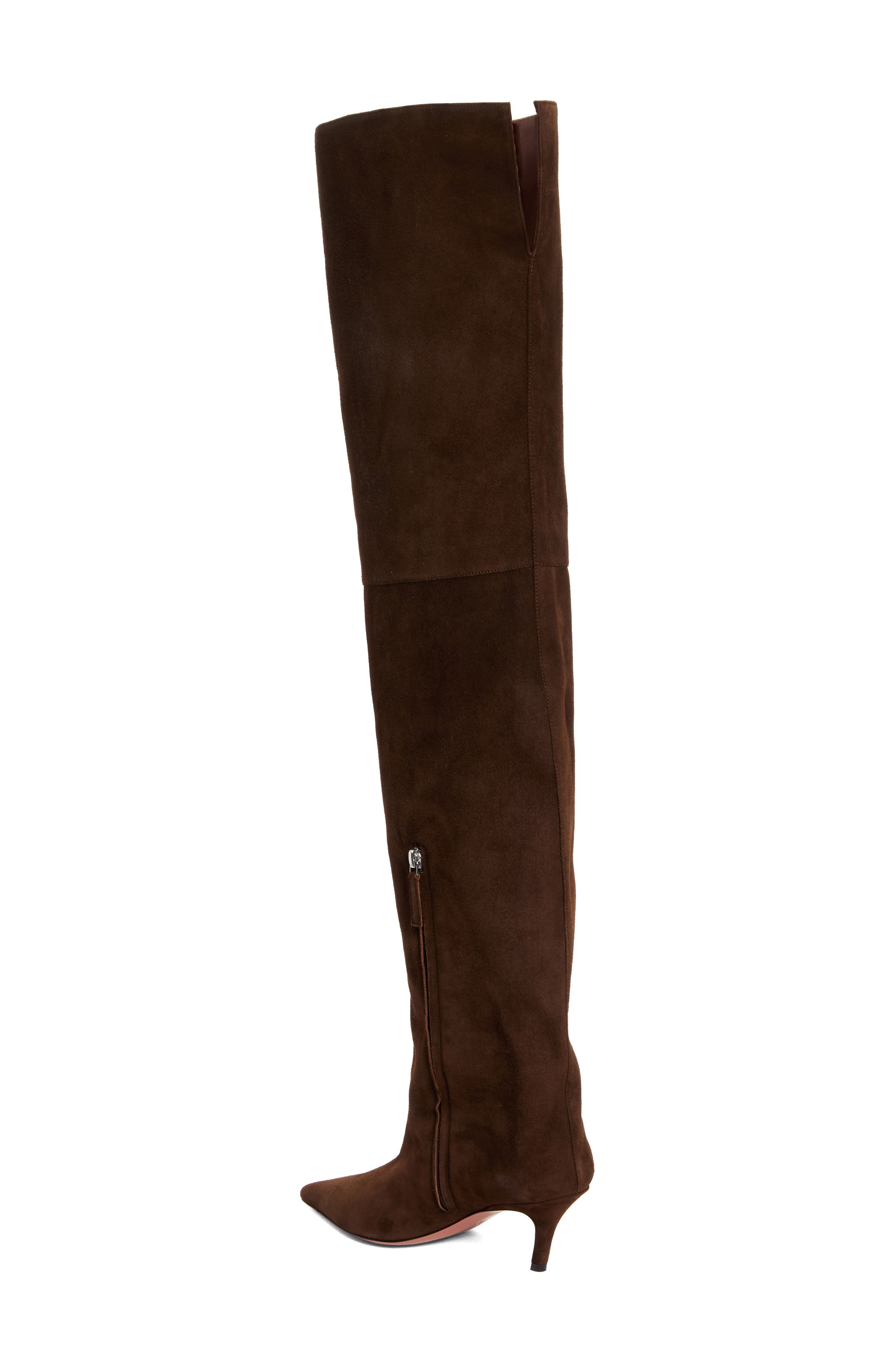 Amina Muaddi Fiona Pointed Toe Thigh High Boot, Alternate, color, 