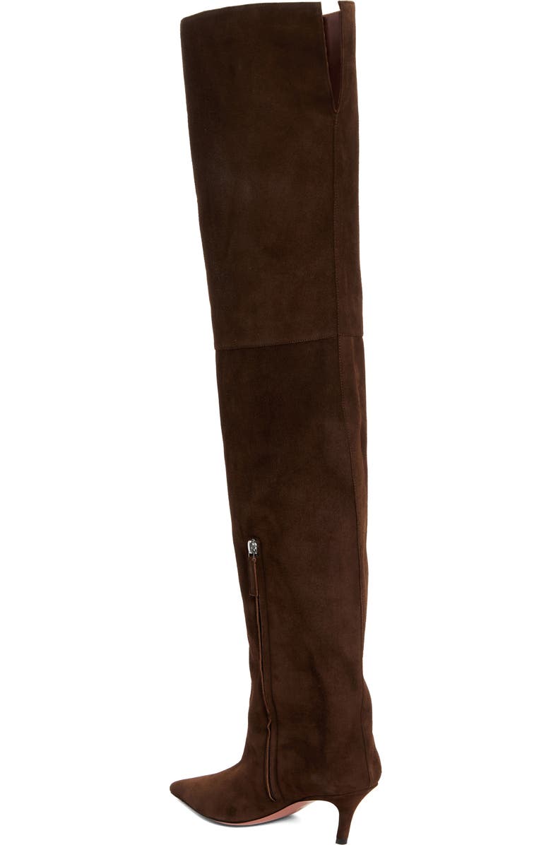 Amina Muaddi Fiona Pointed Toe Thigh High Boot, Alternate, color,