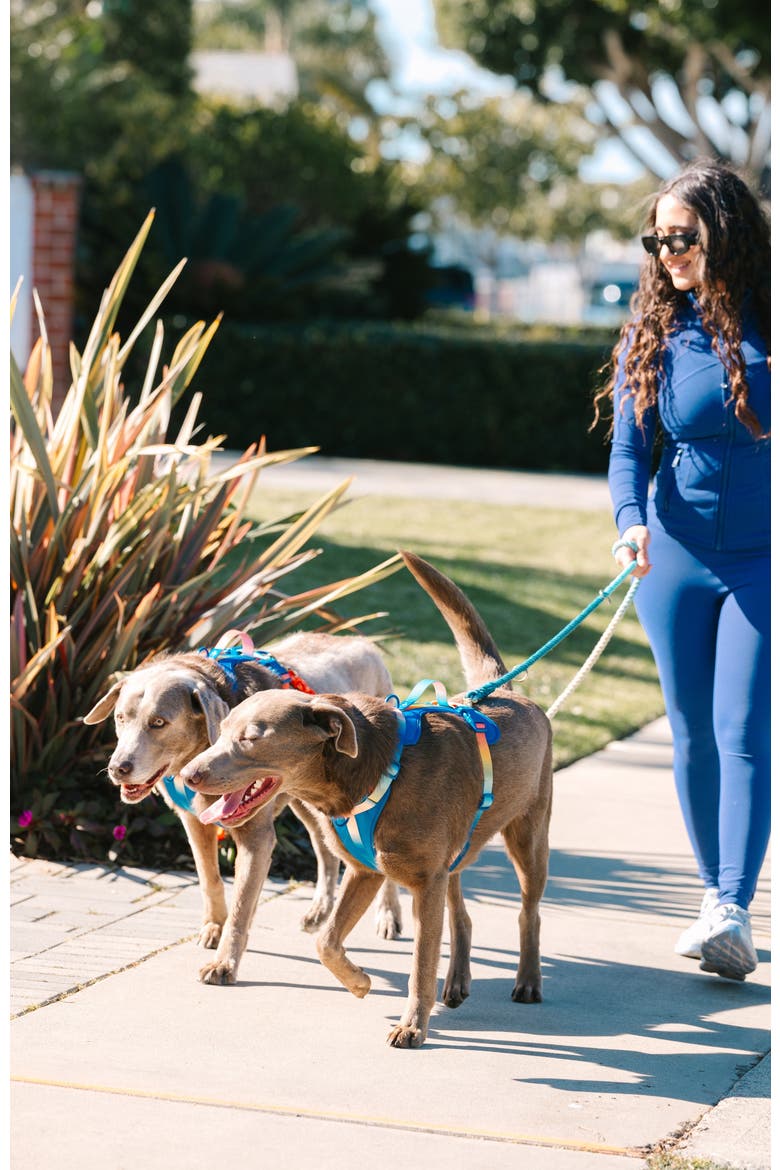 Beau Hands-Free Rope Dog Leash, Alternate, color, Beau 7ft