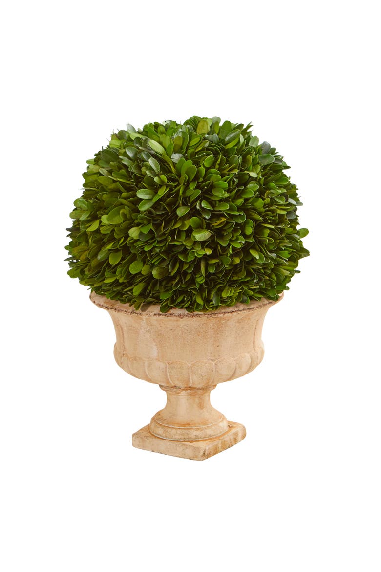12-in Boxwood Topiary Ball Preserved Plant in Decorative Urn, Main, color, Green