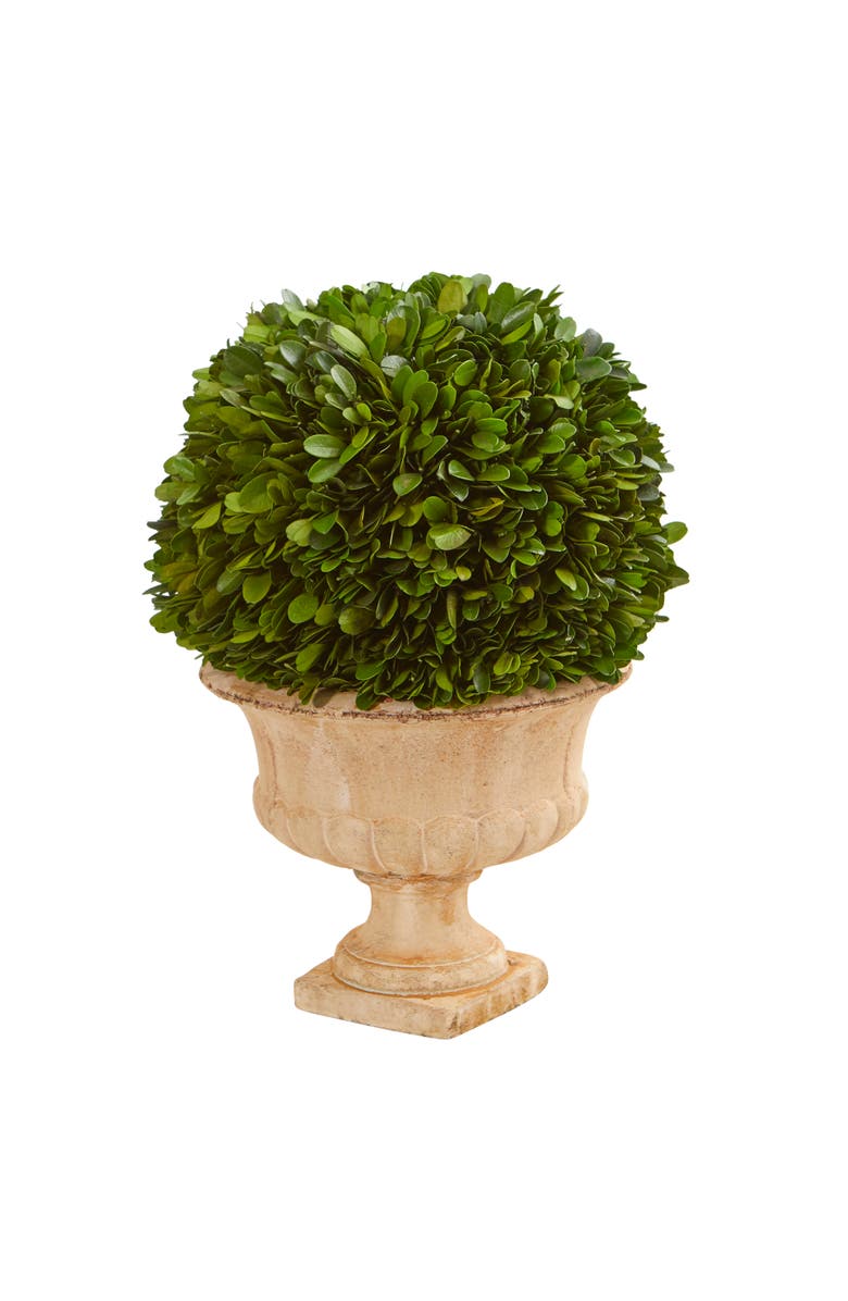 NEARLY NATURAL 12-in Boxwood Topiary Ball Preserved Plant in Decorative Urn, Main, color, Green