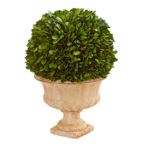 12-in Boxwood Topiary Ball Preserved Plant in Decorative Urn