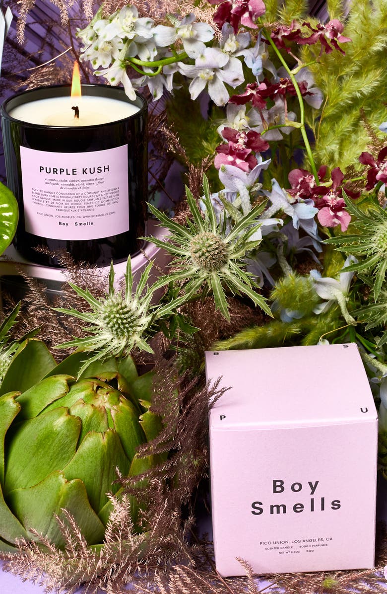 Boy Smells Purple Kush Scented Candle, Alternate, color,