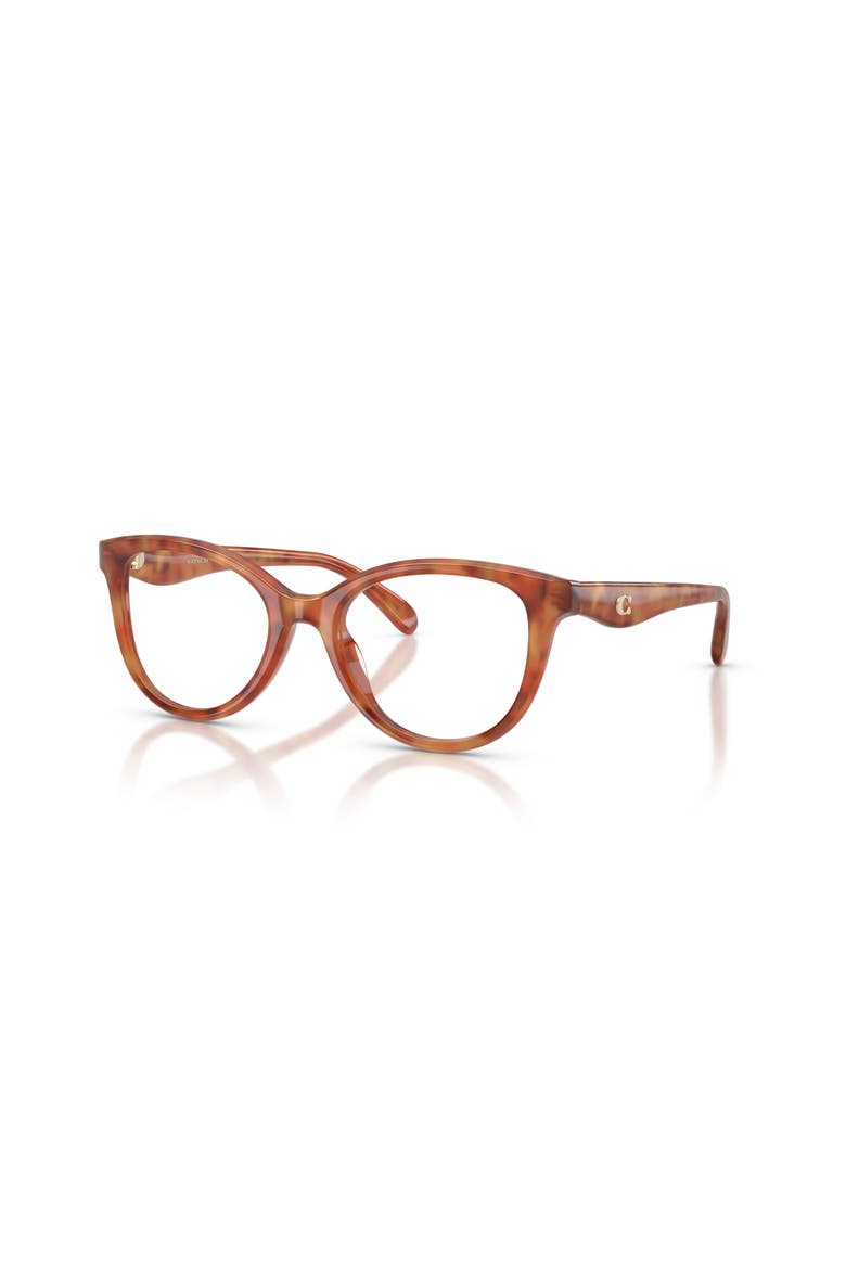 51mm Round optical glasses, Main, color, Tortoise