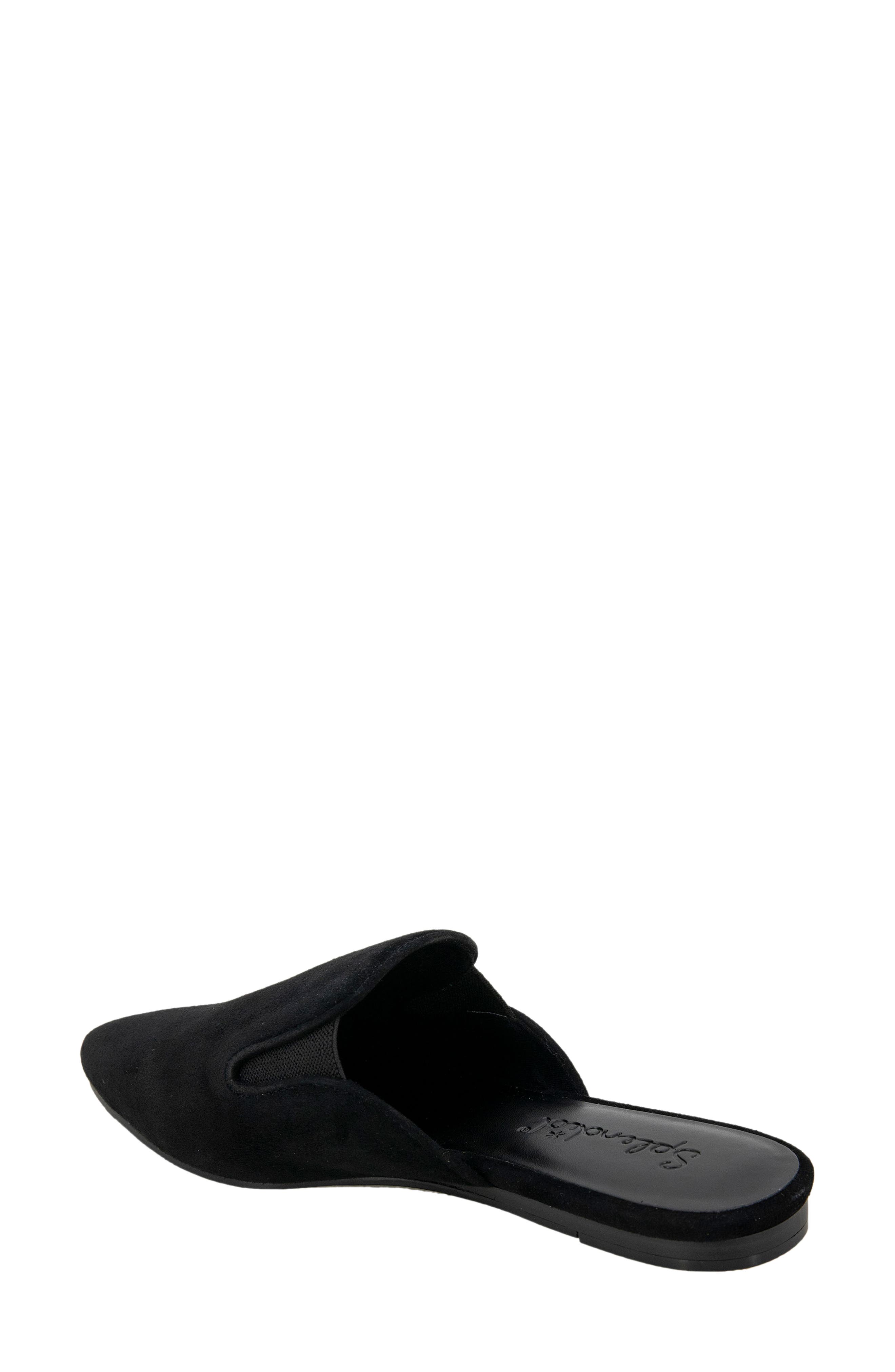 Splendid Liza Pointed Toe Mule, Alternate, color, Black Suede