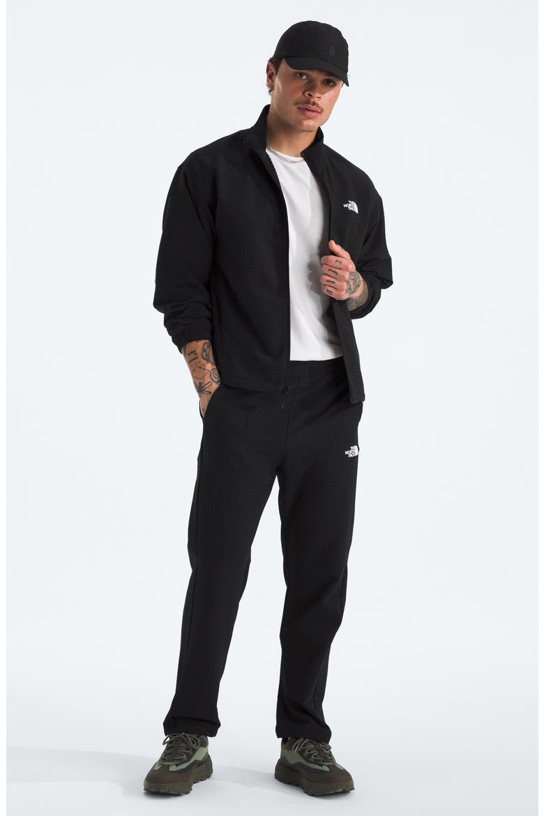 Tekware™ Grid Water Repellent Pants, Alternate, color, TNF BLACK
