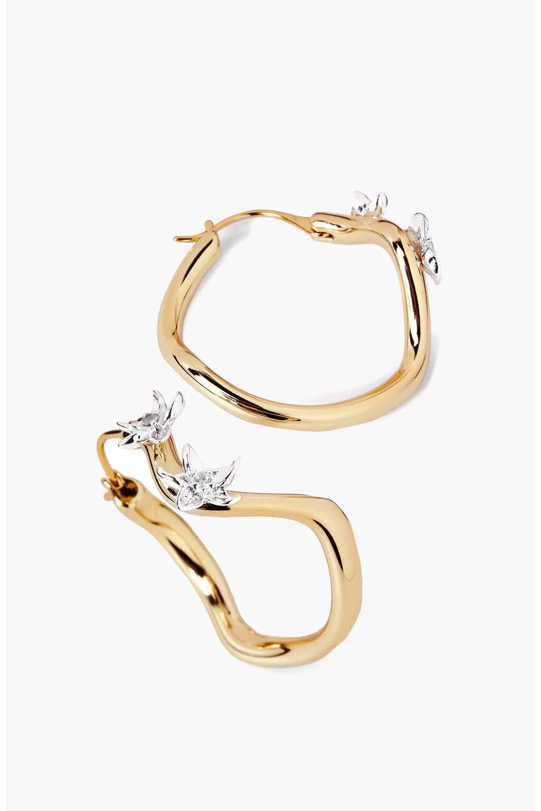 Calino Hoop Earrings In Gold, Main, color, Gold