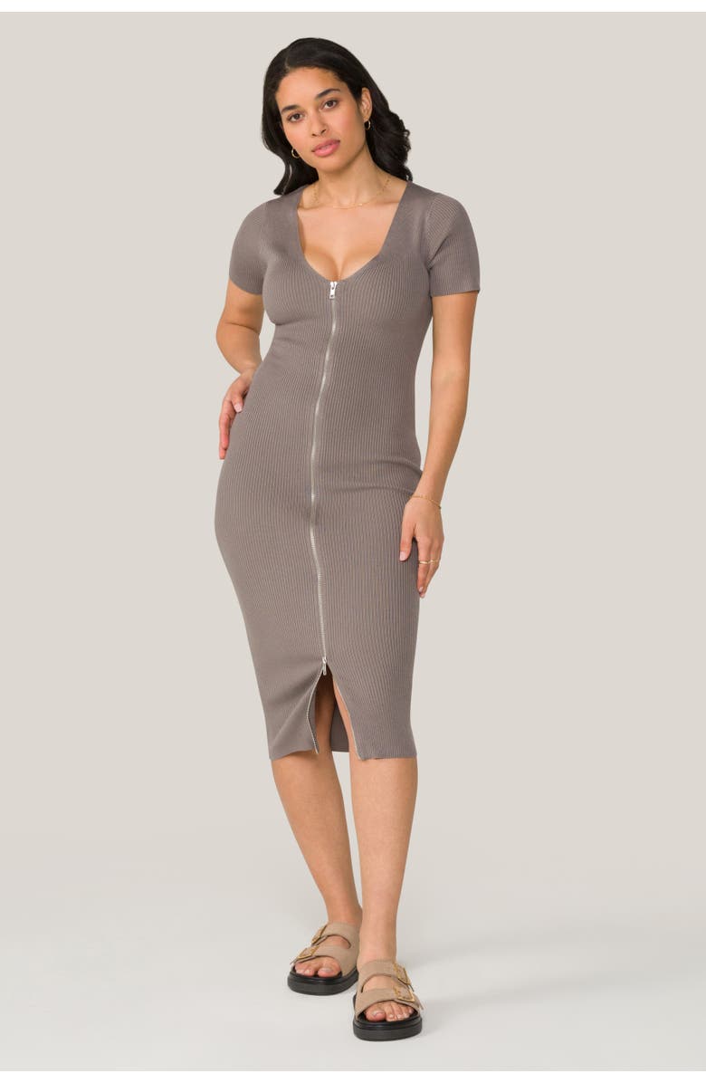 ALALA Cambria Dress, Main, color, Stone