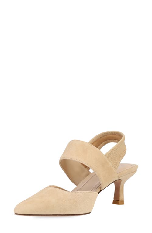 Pelle Moda Kiam Slingback Pointed Toe Kitten Heel Pump In Brown
