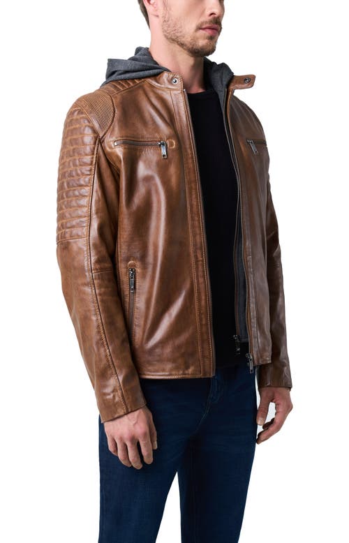 Shop Velez Belmont Leather Jacket For Men With Hood And Chestpiece In Honey
