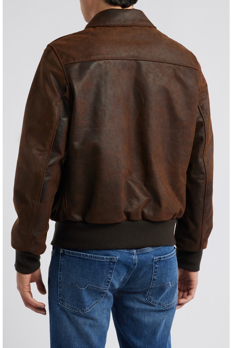 Lightweight Leather Flight Jacket, Alternate, color, BROWN