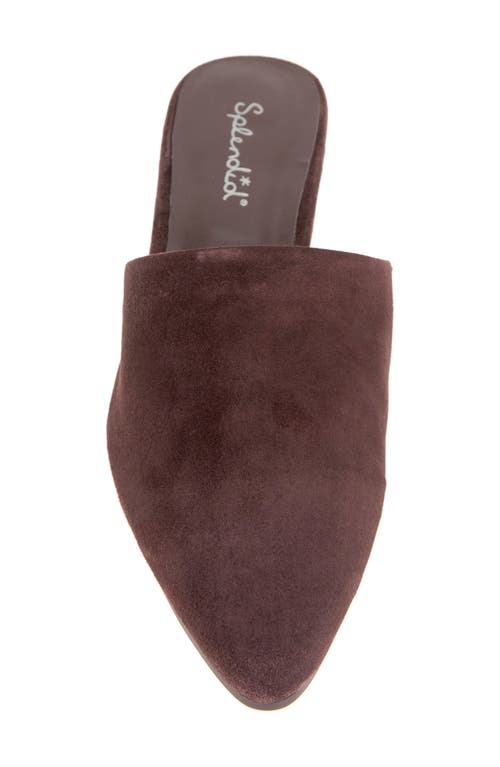Splendid Lorelei Mule In Burgundy