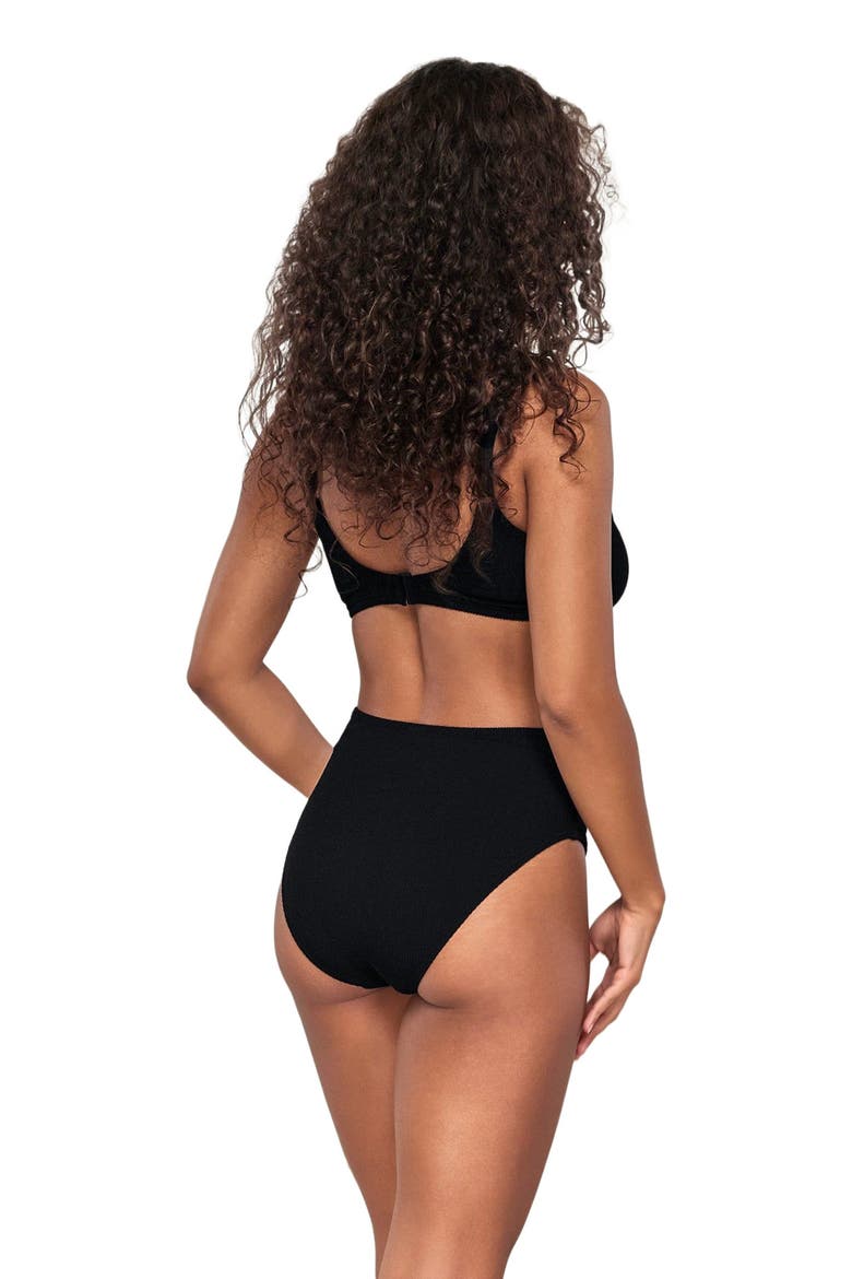 Astrid High Waist Bikini Swim Bottoms, Alternate, color, Black Pacifica