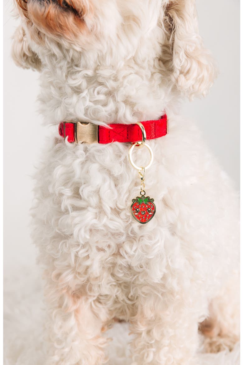 Strawberry Pet Collar Charm, Alternate, color, Strawberry