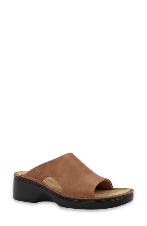 Naot Rome Slide Sandal in Latte Brown Leather at Nordstrom, Size 37
