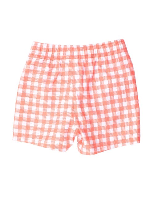 Ruggedbutts Baby/toddler Boys Upf50+ Gingham Swim Trunks In Multi