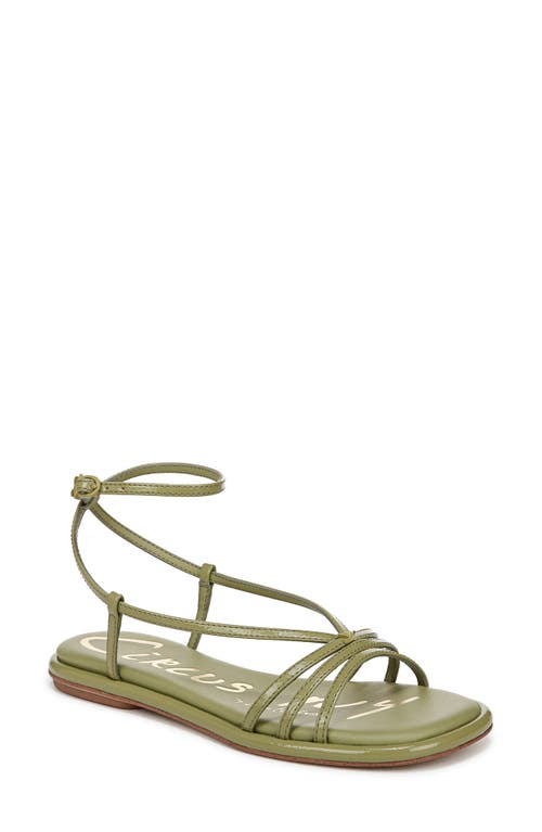 Circus Ny By Sam Edelman Olana Strappy Flat Sandals In Green Fern