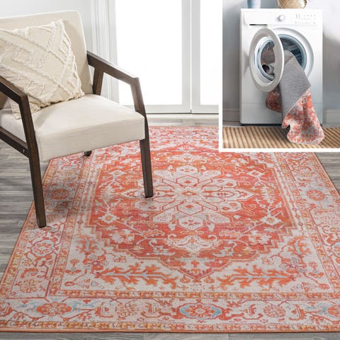 Asa Ornate Medallion Machine-Washable Area Rug