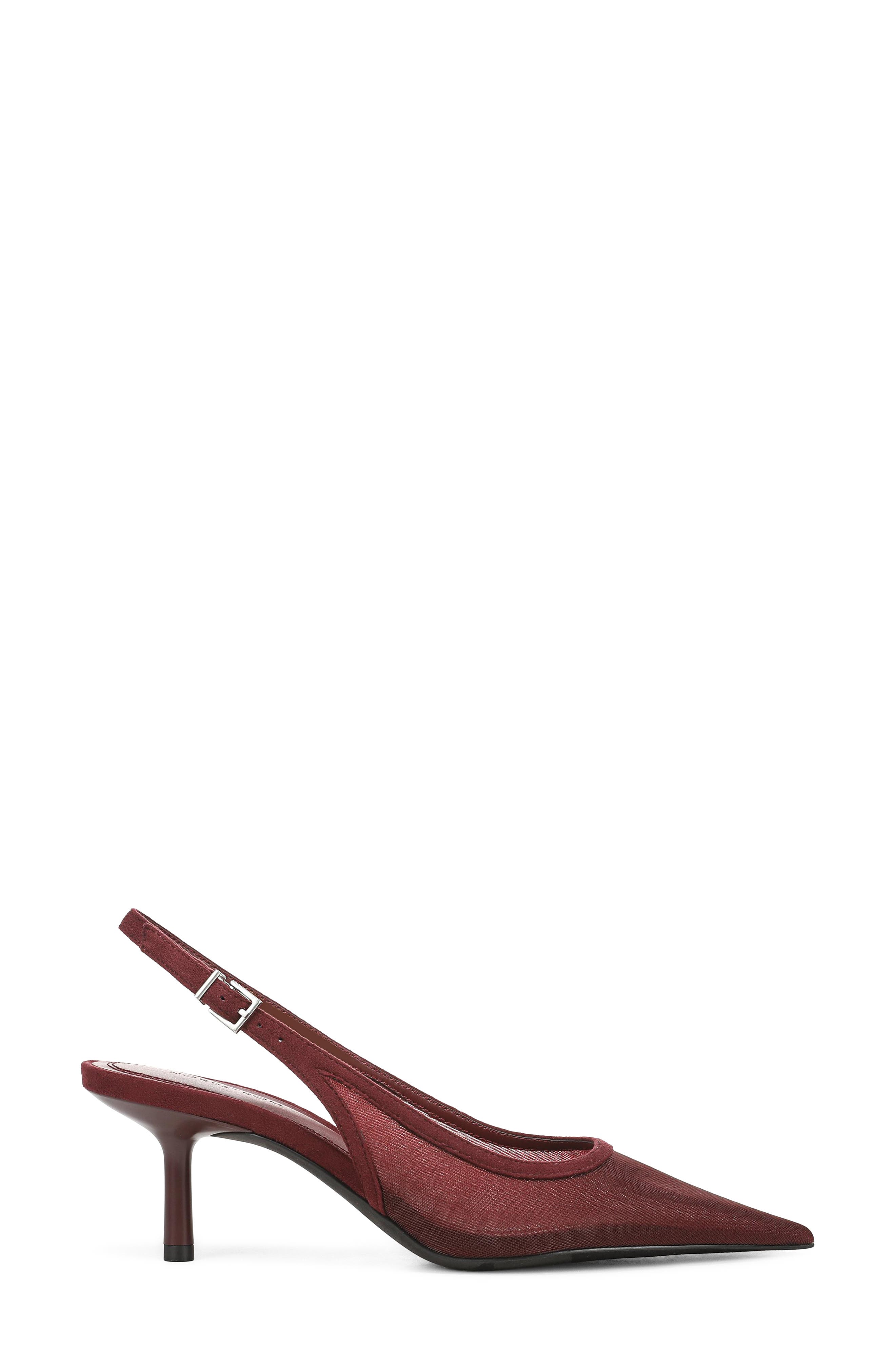 Liza Pointed Toe Pump (Nordstrom Exclusive), Alternate, color, BURGUNDY OXBLOOD