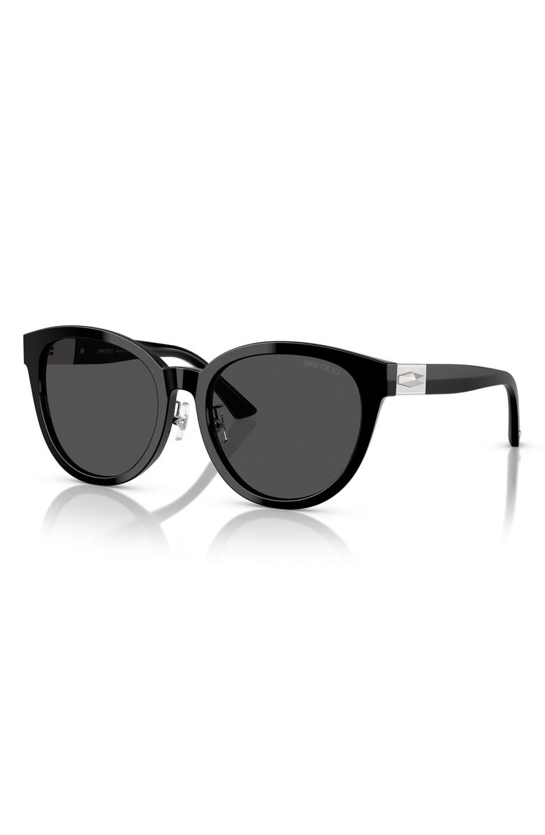 Jimmy Choo 55mm Phantos Sunglasses, Alternate, color, Black