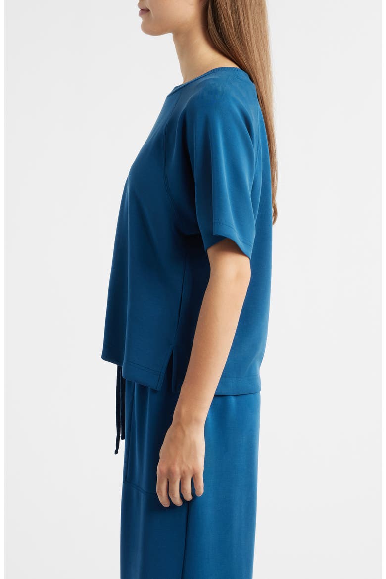 Raglan Sleeve T-Shirt, Alternate, color, BLUE OPAL