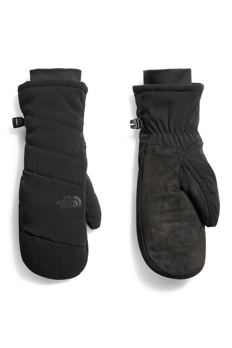 Pseudio Water Resistant Heatseeker™ Insulated Mittens, Main, color, TNF BLACK