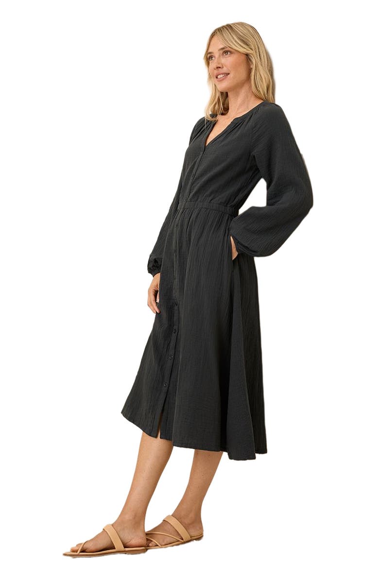Pact Organic Cotton Coastal Double Gauze Poet Sleeve Dress, Alternate, color, 