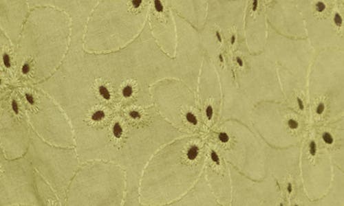 Motel Kayve Eyelet Embroidered Tie Front Cotton Top In Green