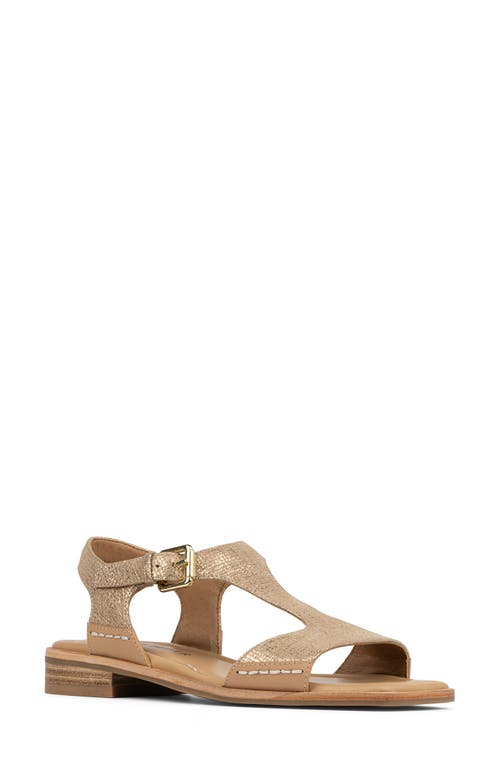 DONALD PLINER DONALD PLINER DRIA T-STRAP SANDAL 
