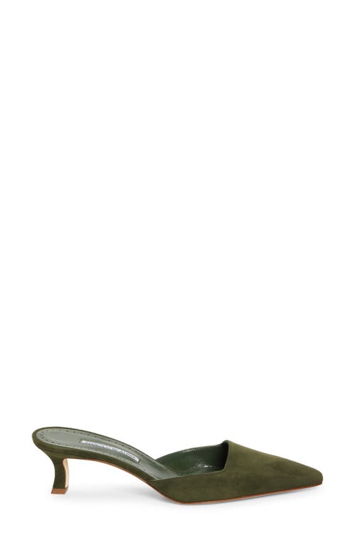 Manolo Blahnik Moiramu Pointed Toe Kitten Heel Mule