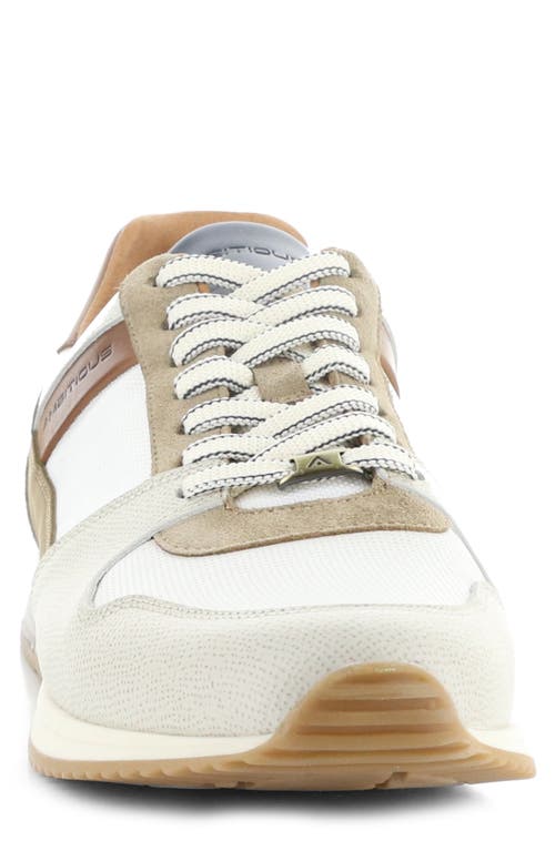 Ambitious 11240 Perforated Sneaker In Grey/off White/camel Leather