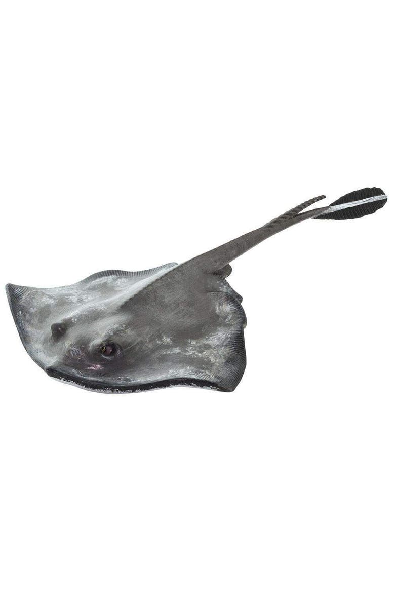Sting Ray Toy, Main, color, No Color