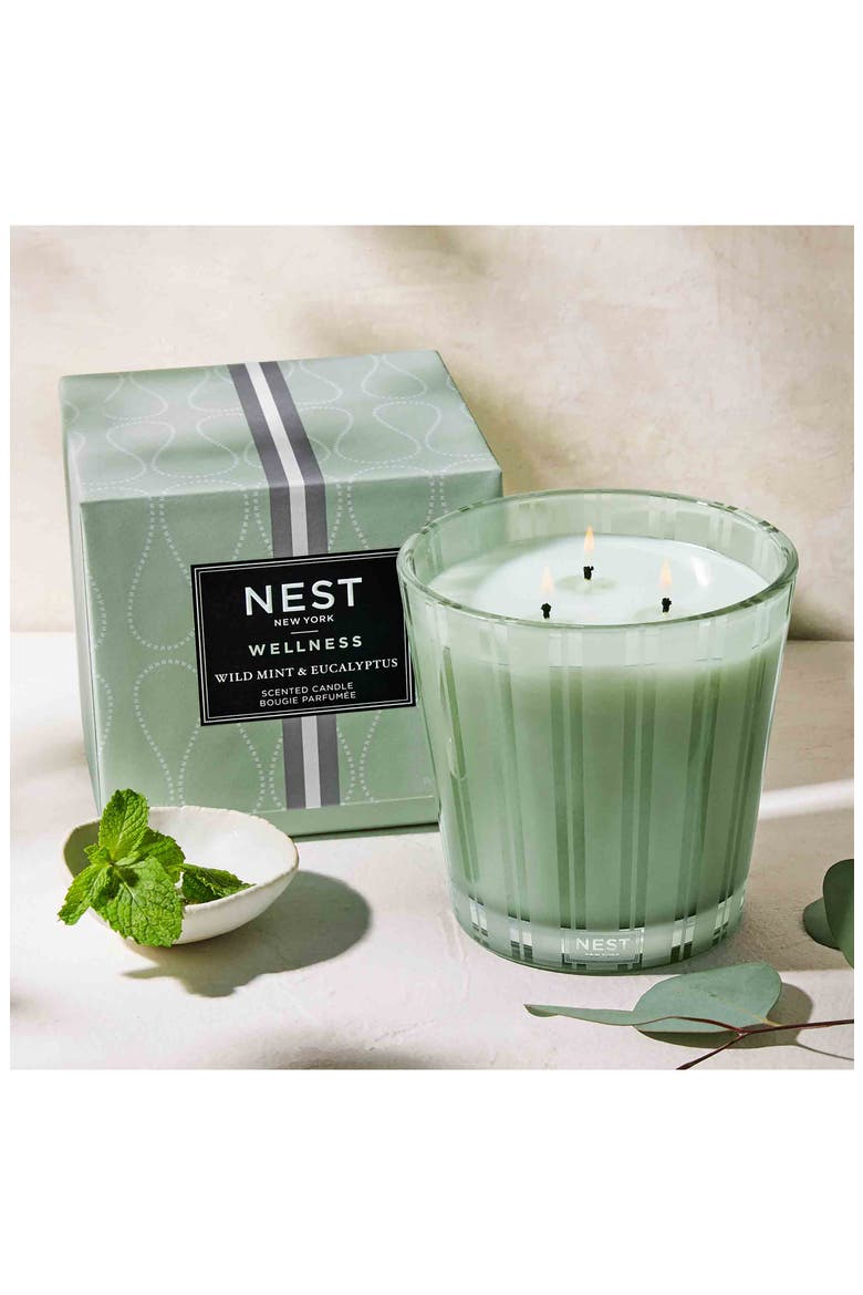 Wild Mint & Eucalyptus Scented Classic Candle, Alternate, color, NO COLOR