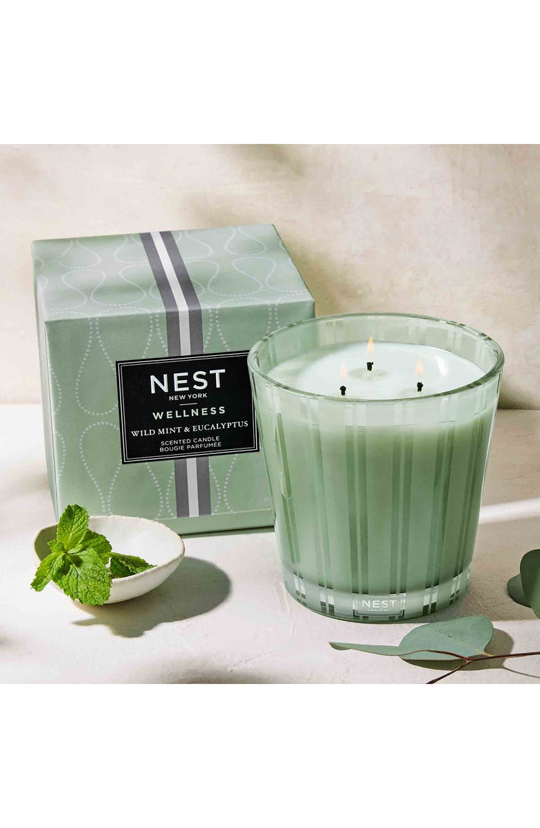 NEST New York Wild Mint & Eucalyptus Scented Classic Candle, Alternate, color,