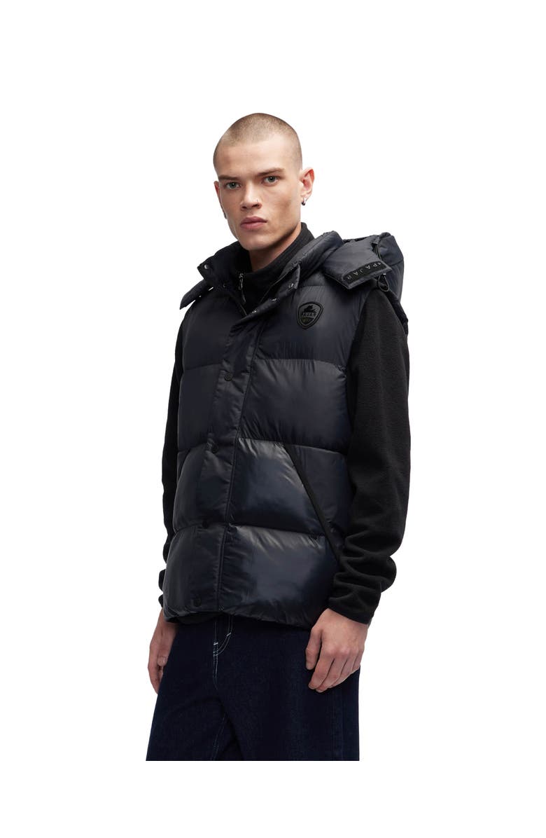 Pajar Channel Quilted Puffer Vest, Alternate, color, Black