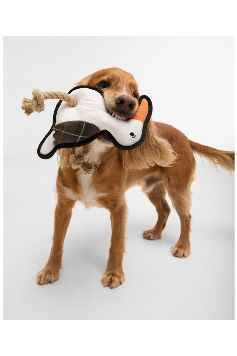 Seabird Dog Toy, Alternate, color, WHITE