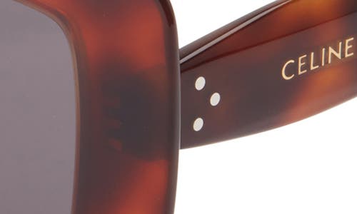 Celine 3 Dots Butterfly Sunglasses In Brown
